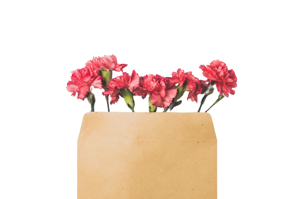 ekaterina-shevchenko-ZLTlHeKbh04-unsplash-removebg-preview