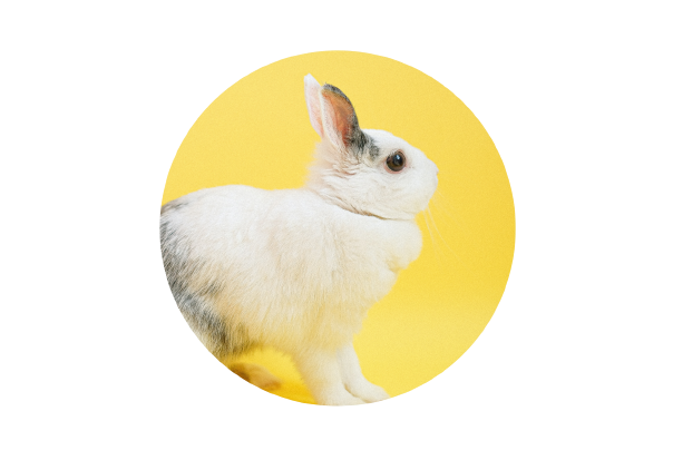 ekaterina-shevchenko-ZLTlHeKbh04-unsplash-removebg-preview